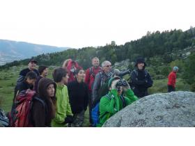 photo coins arrondis